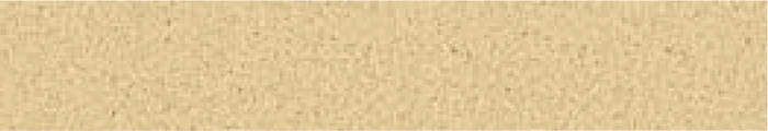 BWT 3D Surface Tuscan Sun