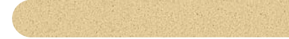 BWT 3D Surface Tuscan Sun